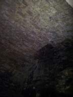 fkillineybeforeinternal 1255.jpg